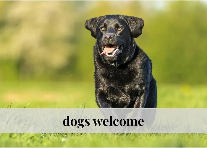 Crown Living Basic - Zentrale Mit Wlan, Kostenloser Parkplatz, Self Check-in, Ideal Fuer Feriengaeste Und Geschaeftsreisende Lägenhet Dornbirn